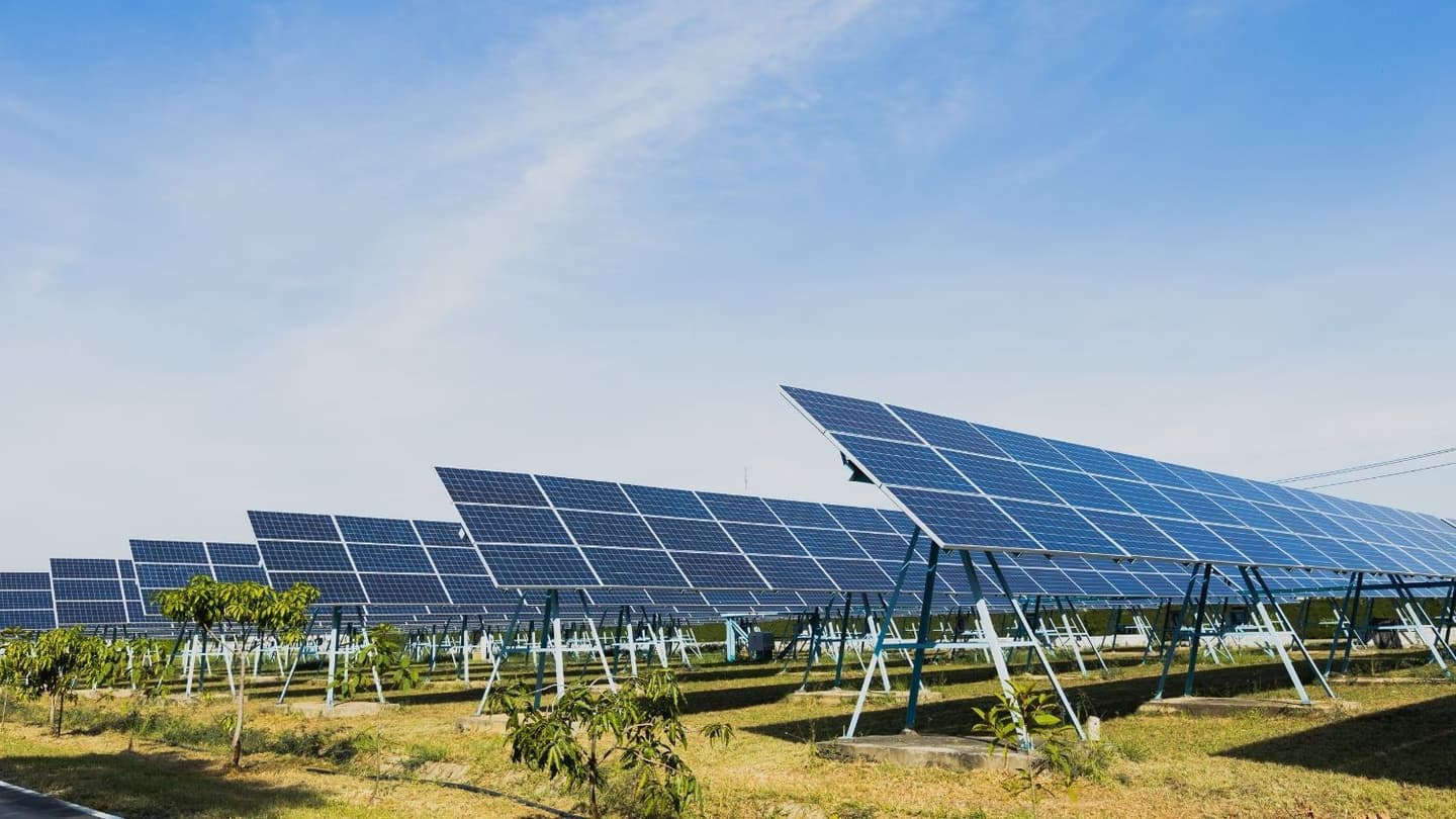 Coal India Starts Commercial Operations of 200 MW Solar Capacity in Gujarat