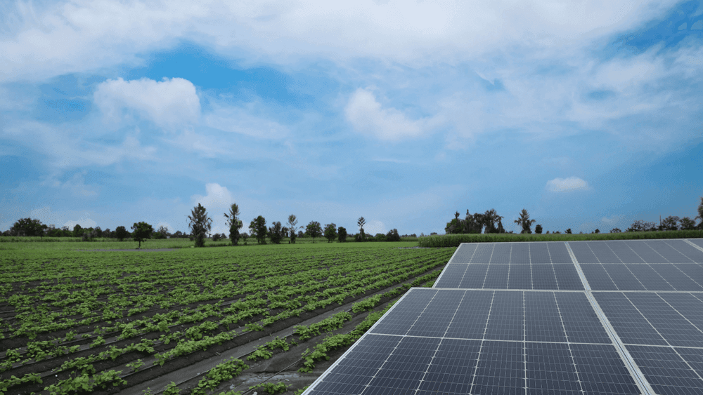 Assam Unveils ₹50,000 Crore Development Programme with Solar-Battery Project
