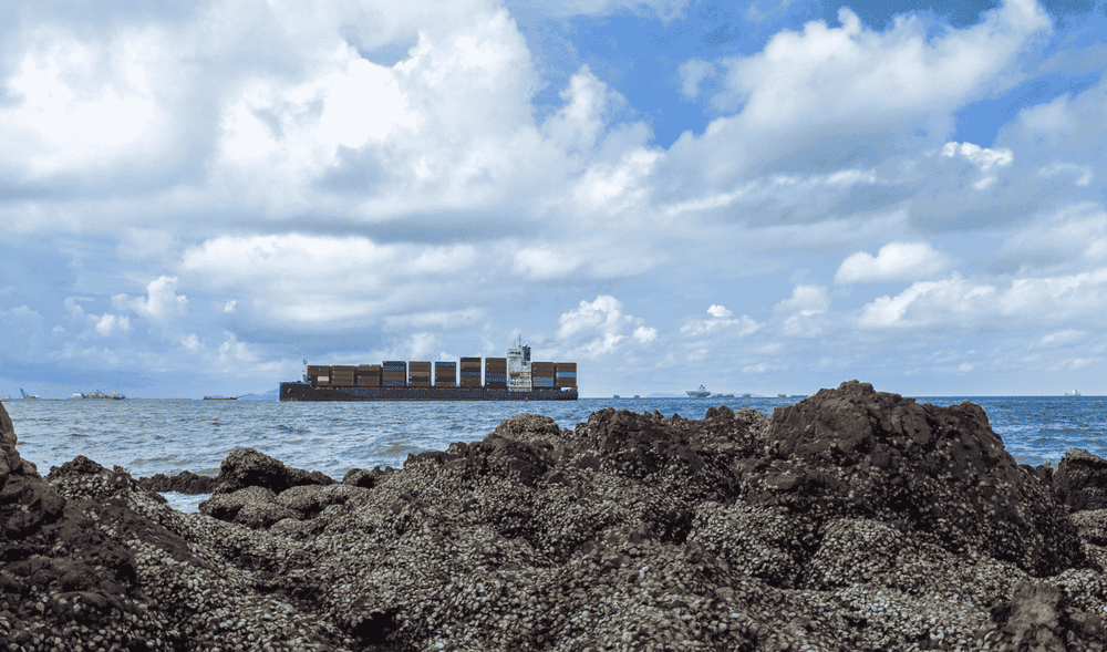 MRPL becomes First Indian Refiner to Resume Crude Imports via Strait of Hormuz