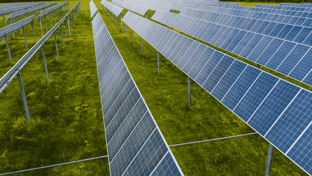 Bluebird Solar Secures 278 MW Solar PV Module Supply Order for SJVN Projects