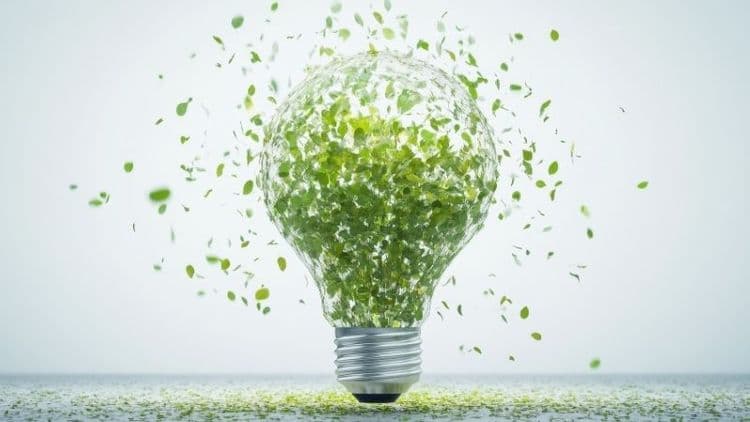 Bioenergy, Data and Grid Readiness Shape Day 3 of India Energy Week 2026