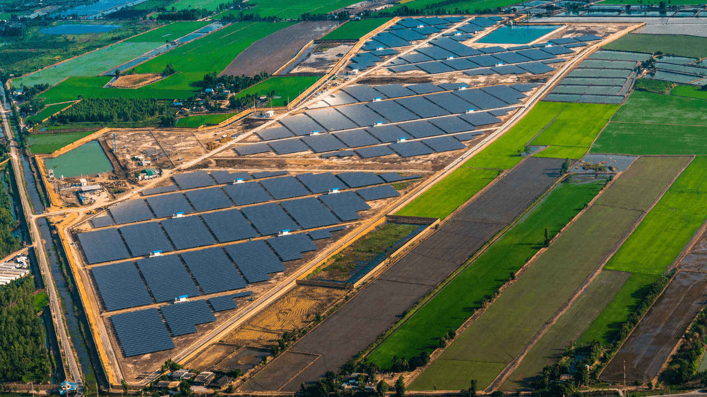 REIL Invites Bids for 15MWp Government Solar Project Under RESCO Scheme