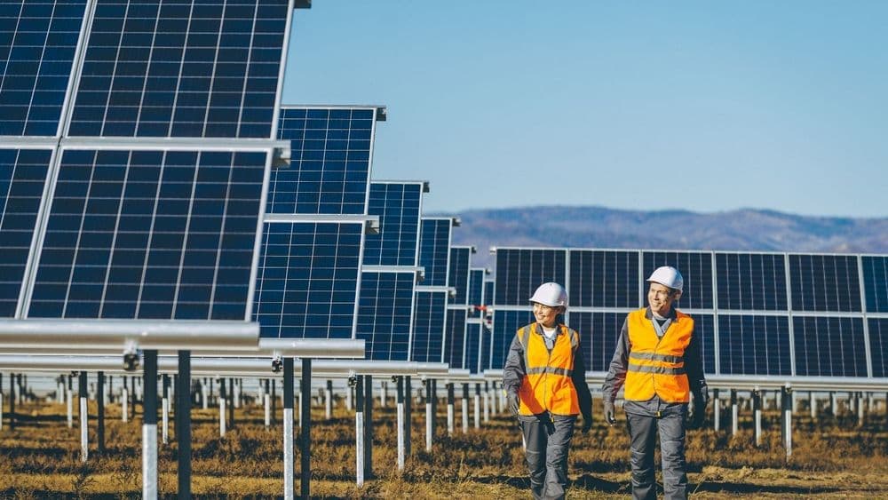 Teraa Clean Invites Bids for Land Aggregation for 350 MW ISTS Solar Project in Andhra Pradesh