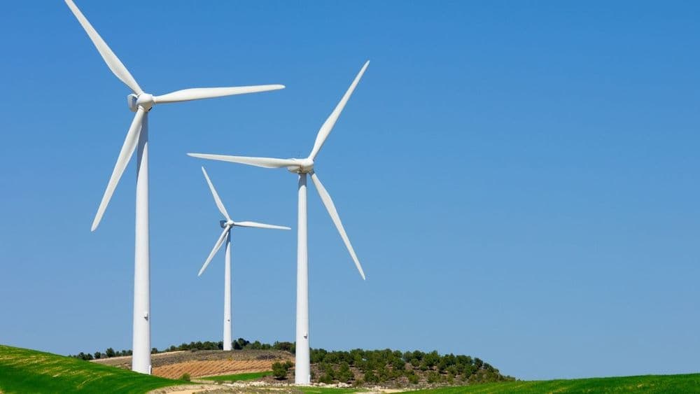 Google's 5 Initiative to Advance Sustainable Innovation, Clean Energy in India