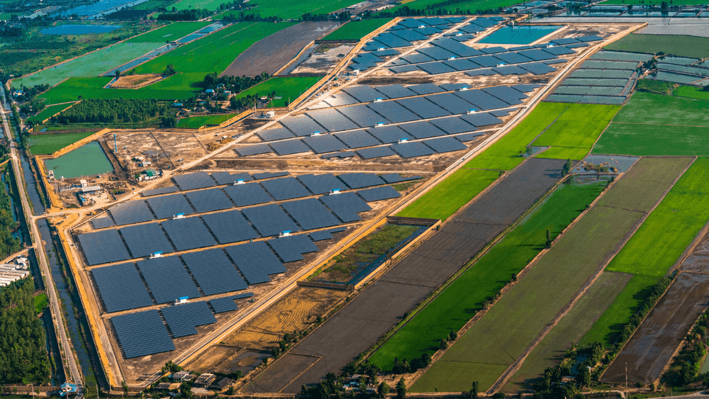 REIL Invites Bids for 15MWp Government Solar Project Under RESCO Scheme